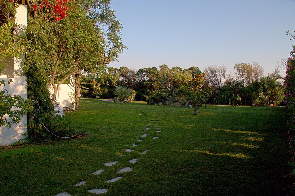 Handrina Studios Naxos City ภายนอก รูปภาพ